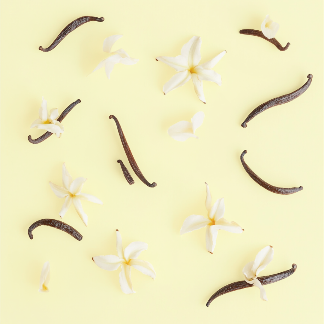 Vanilla Scented Organic Lip Balm
