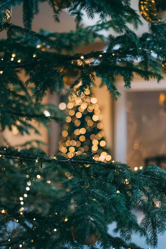 A touch of glamour for your Christmas Tree?