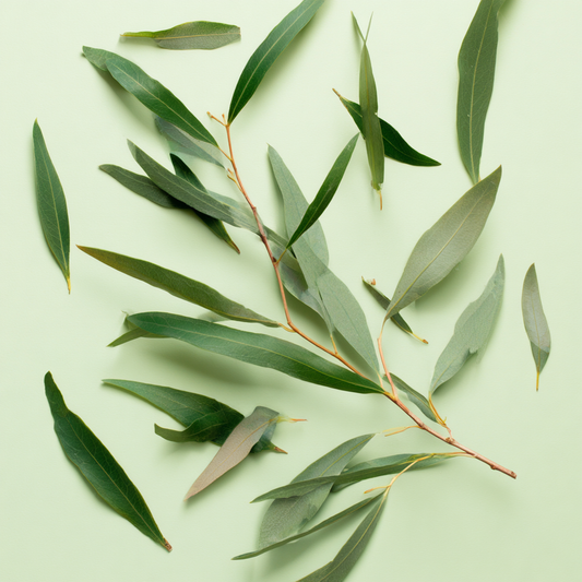Tea Tree Natural Toner