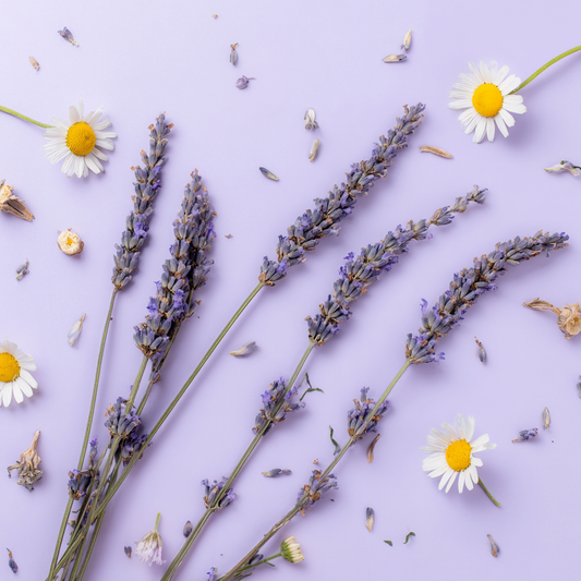 Gentle Organic Day Cream