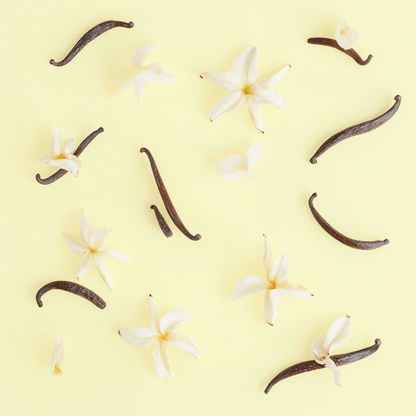 Vanilla Scented Organic Lip Balm